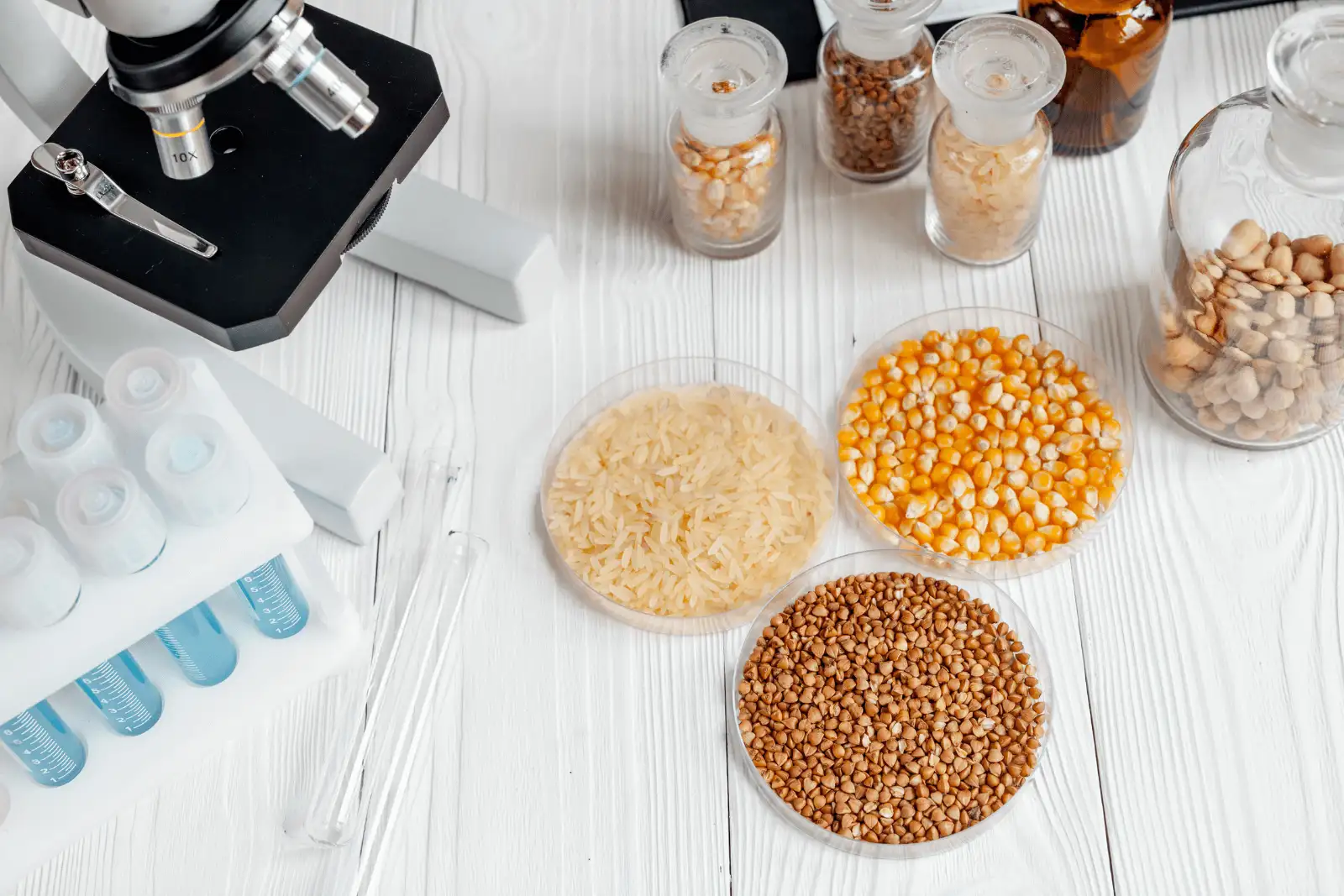 Food Sensitivity Testing